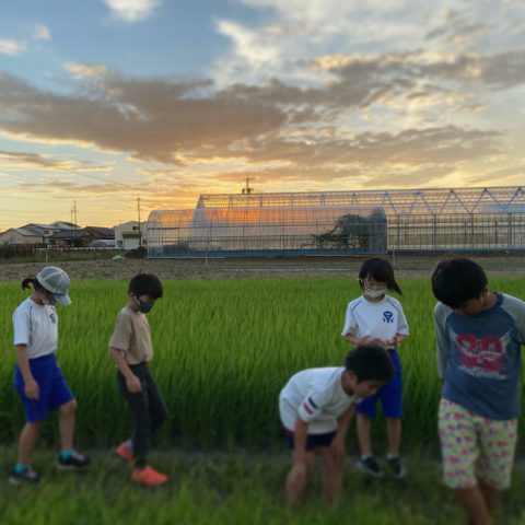 空を見上げて
