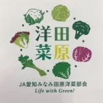 田原洋菜部会//JA愛知みなみ